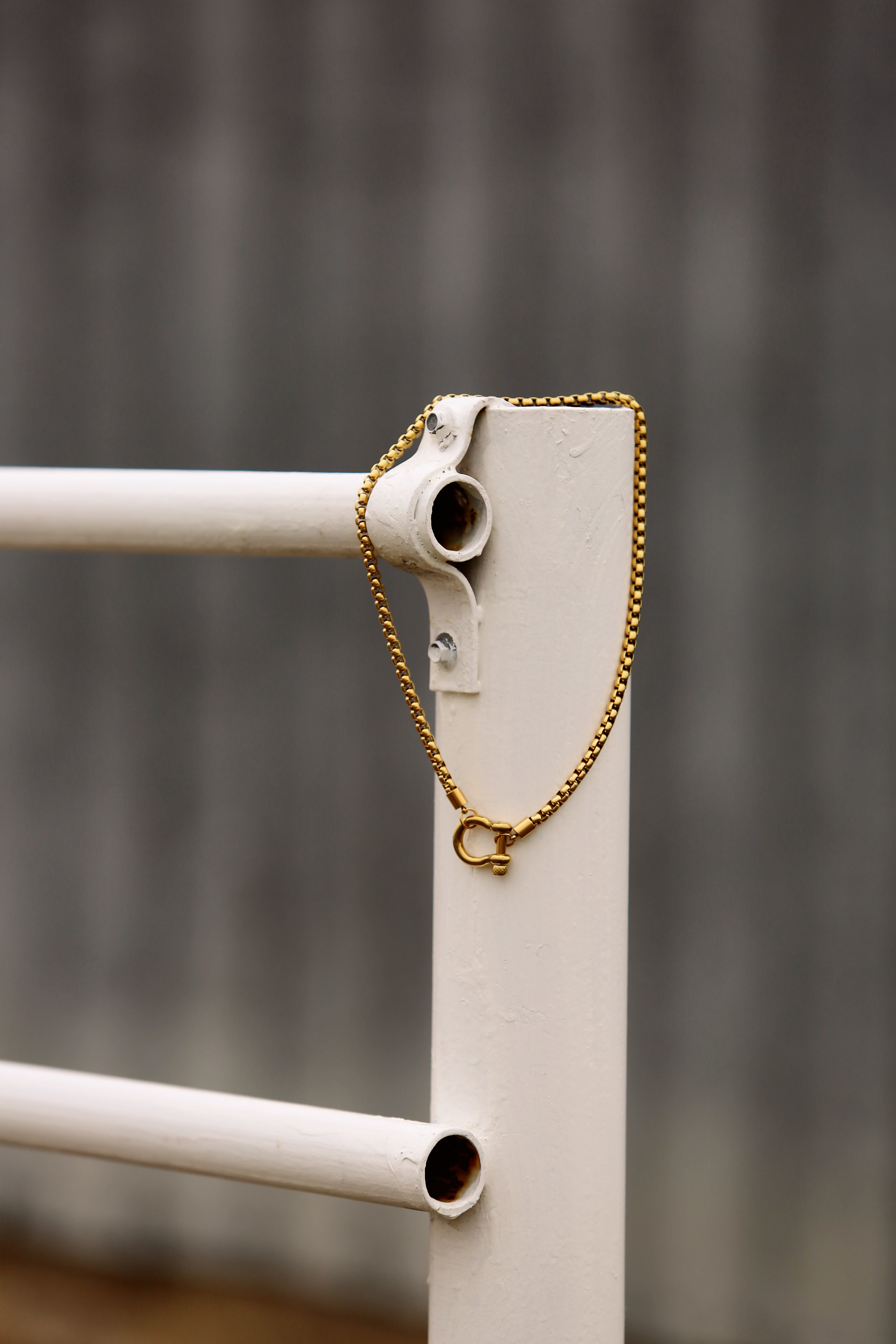 Lucky Me Horseshoe Toggle Necklace
