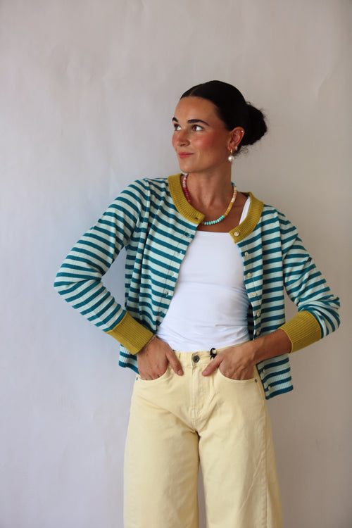 The Stripe & Shine Cardigan