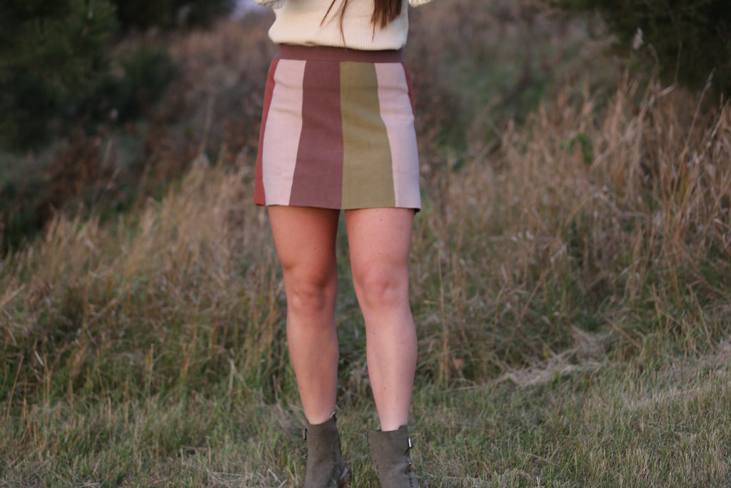 Connie Colorblock Skirt