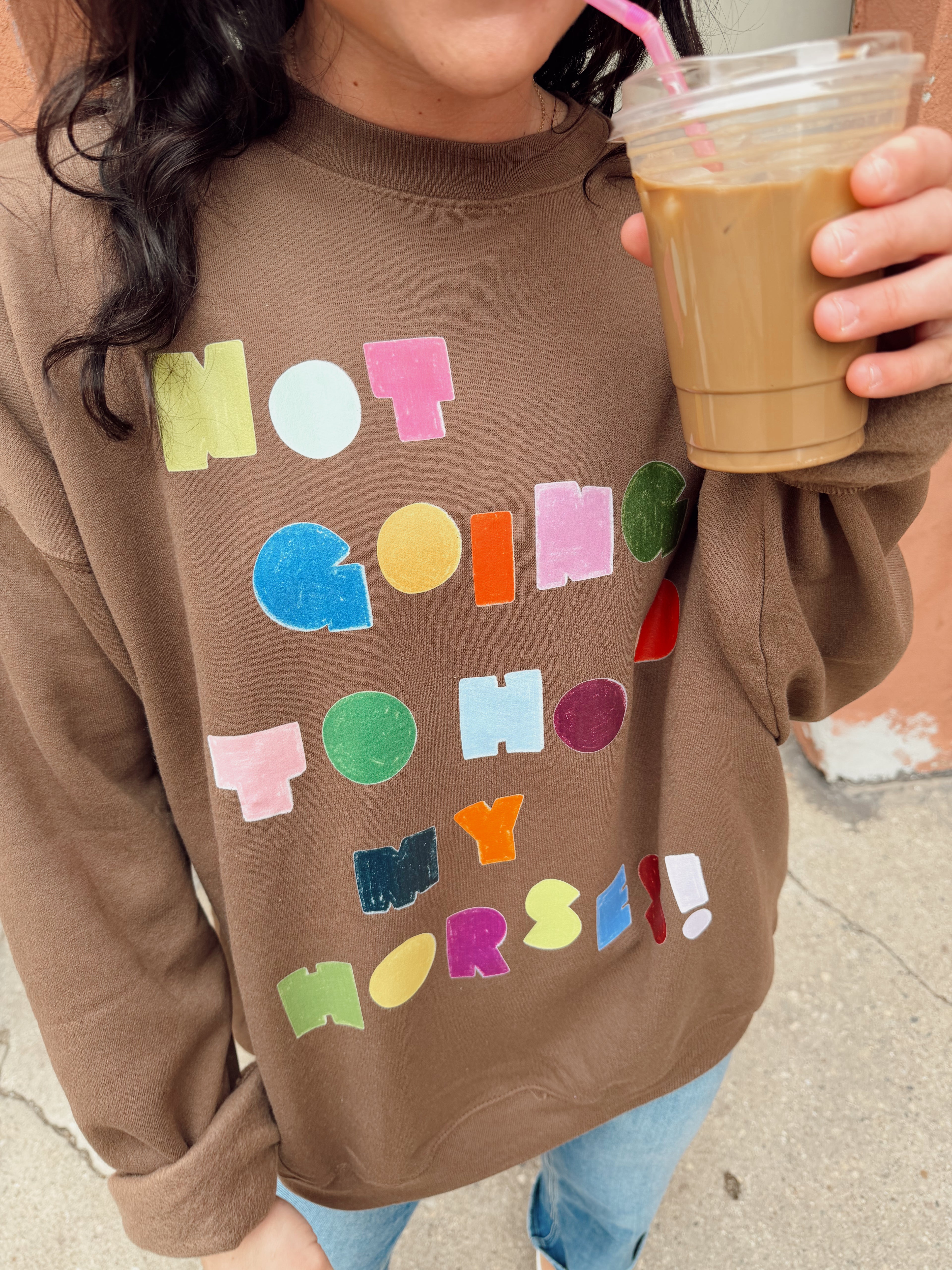 Not Gonna Hold My Horses Sweatshirt