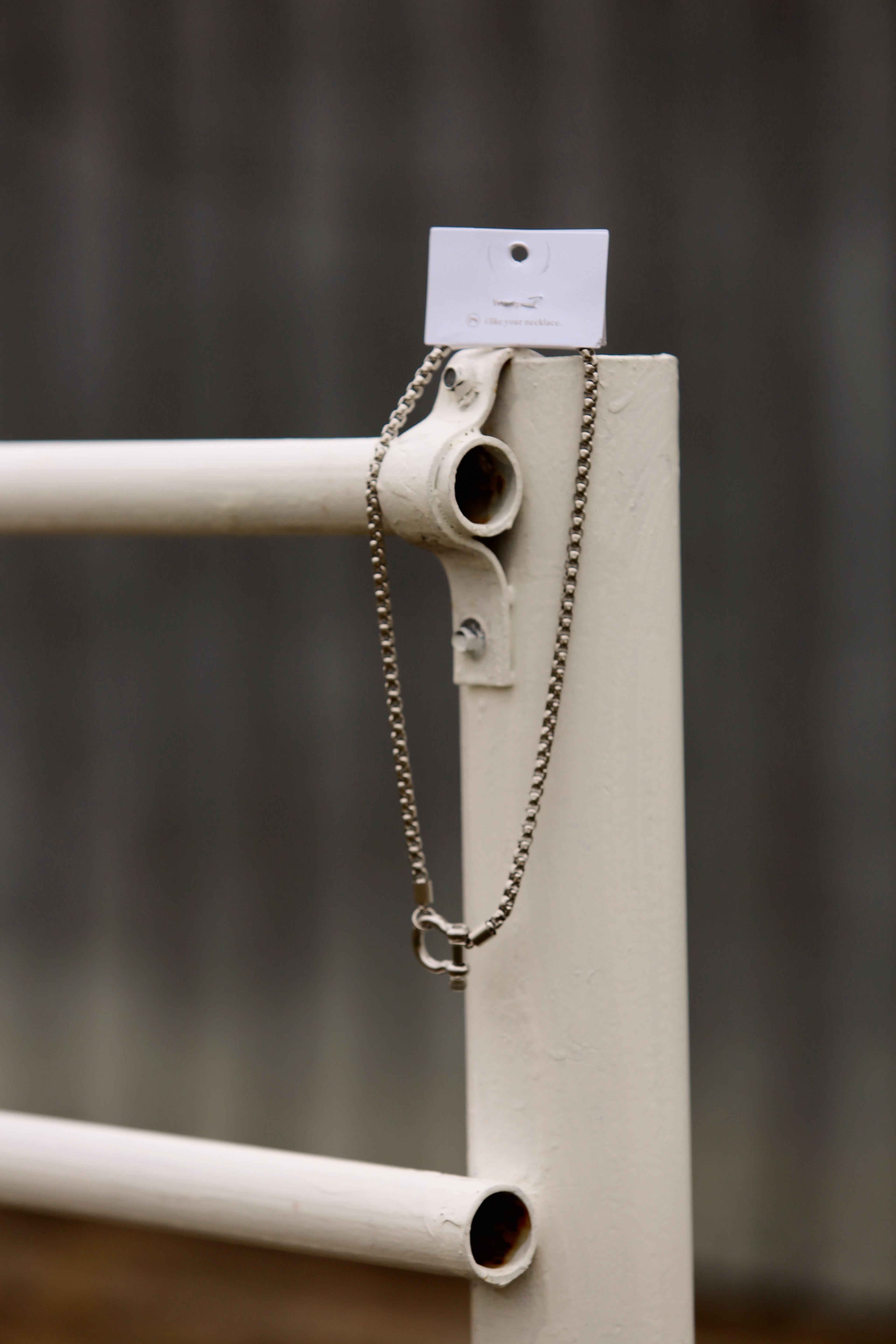 Lucky Me Horseshoe Toggle Necklace