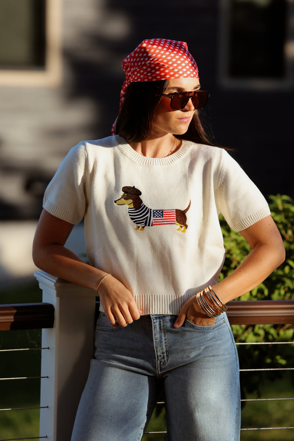 Dachshund Flag Top