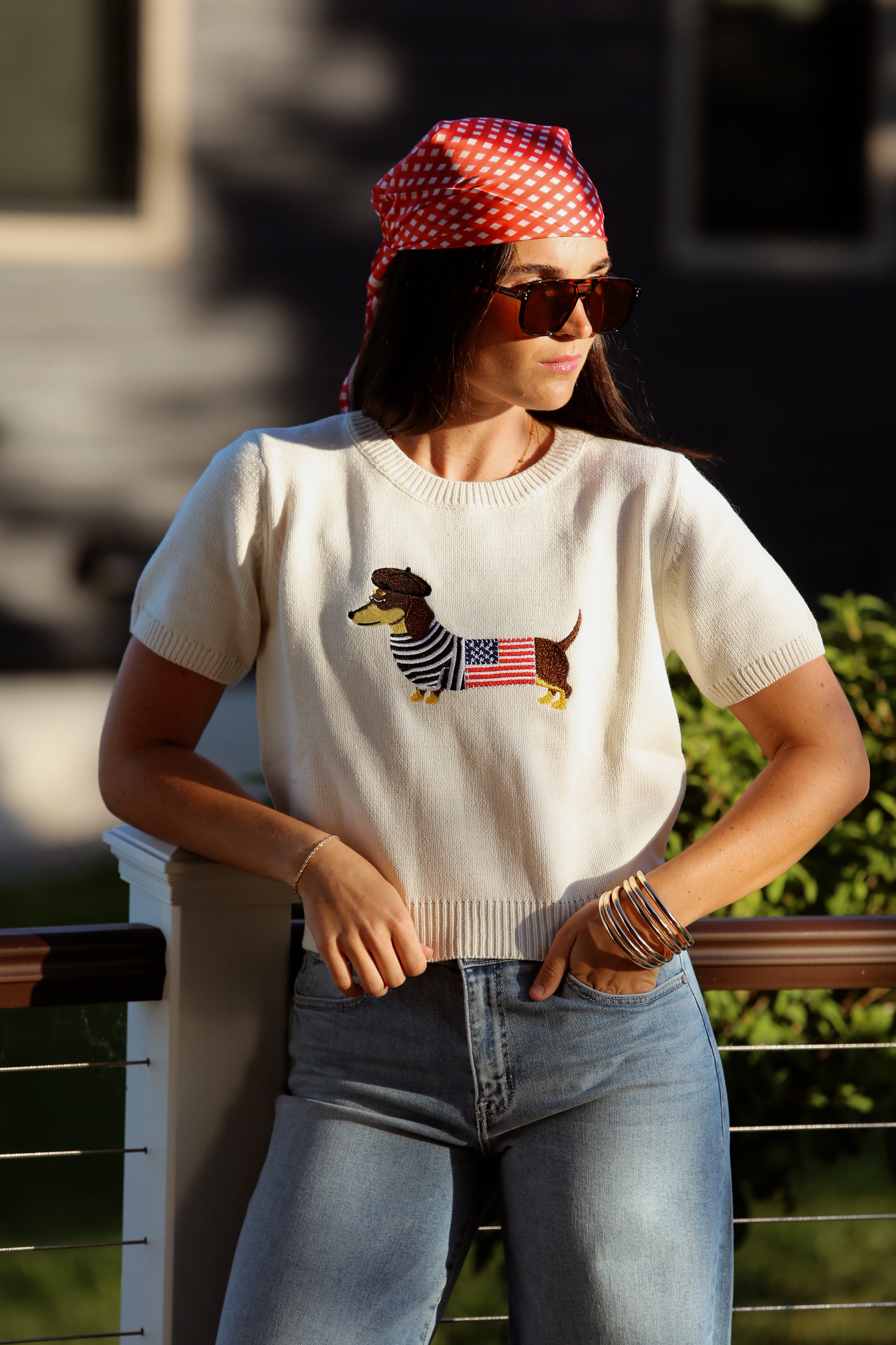 Dachshund Flag Top