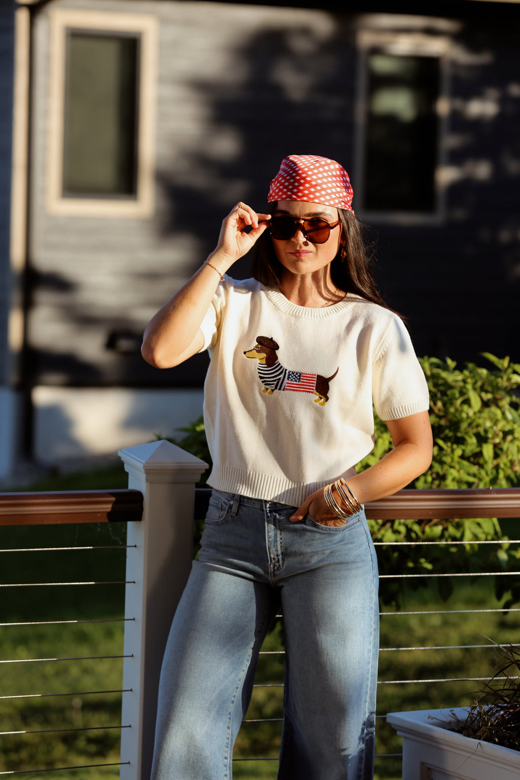 Dachshund Flag Top